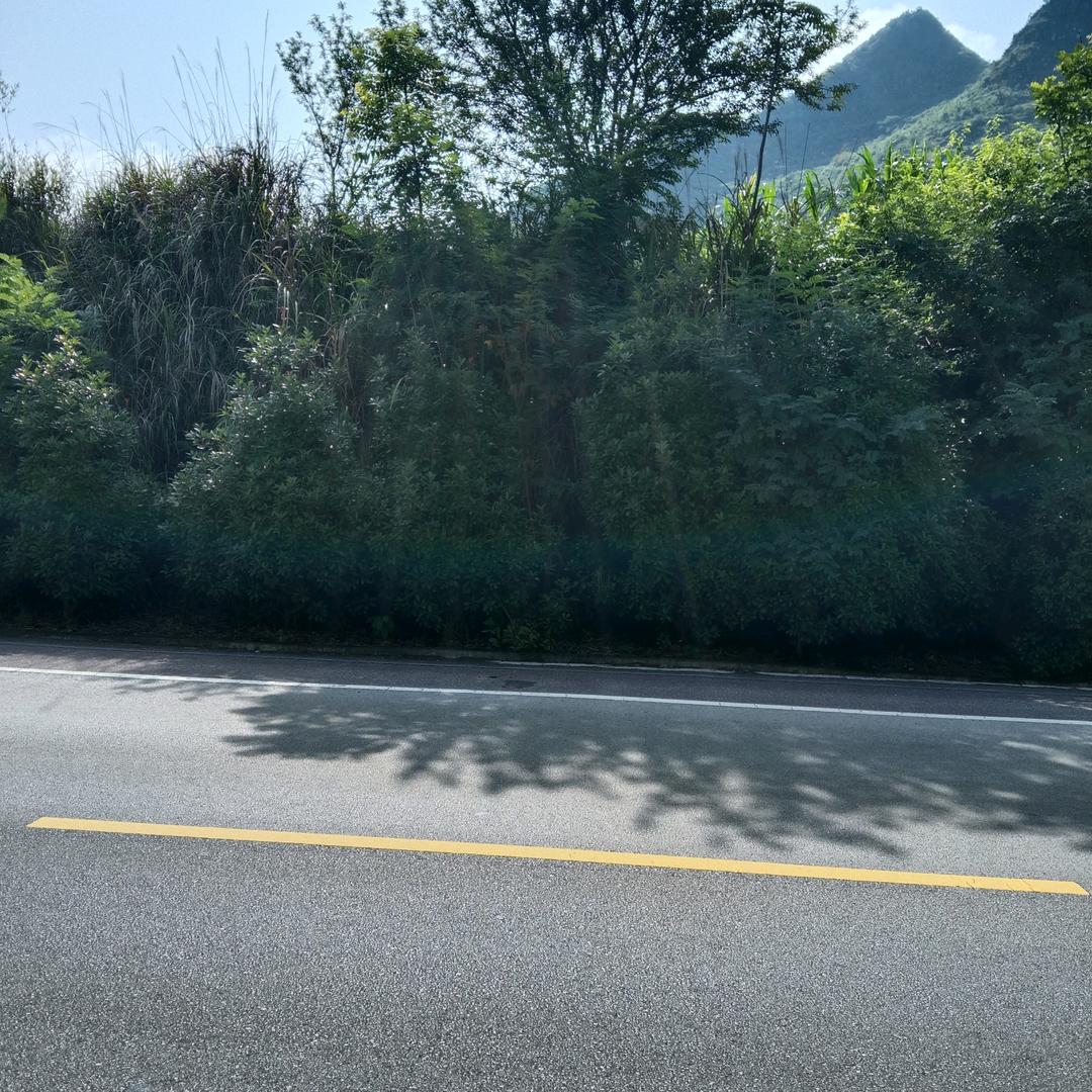 一个人很孤孤单单。