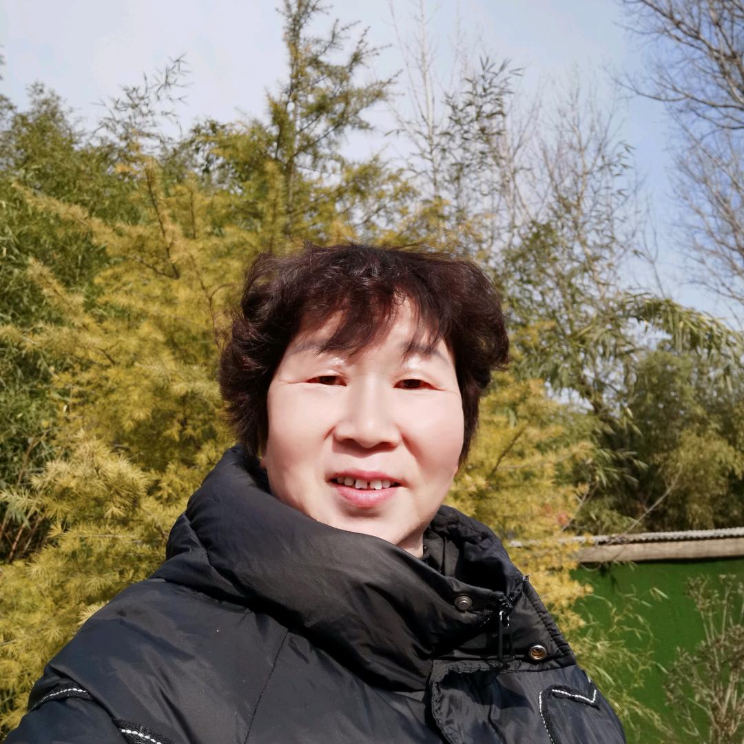 自由飞翔