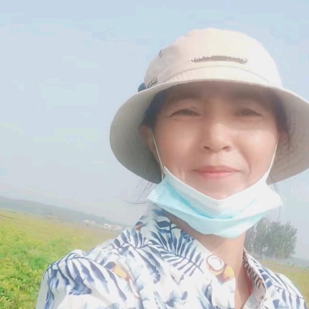 状元之乡双塔优质紫穗槐
