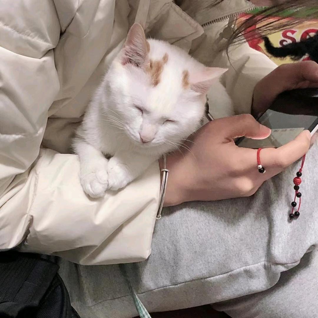 一介俗人