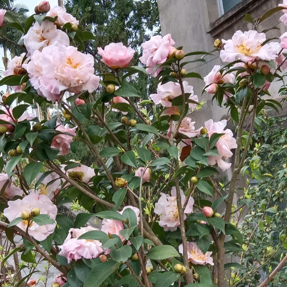 αÅぁあおぅウケォ