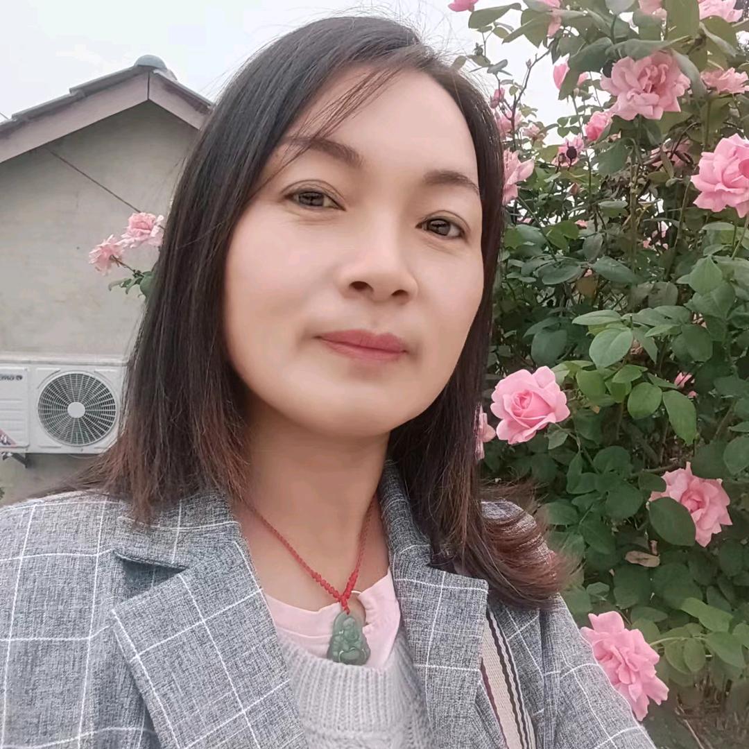 金猪橱窗有好物