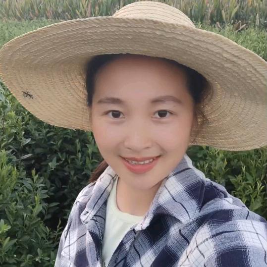 舒城传山茶业