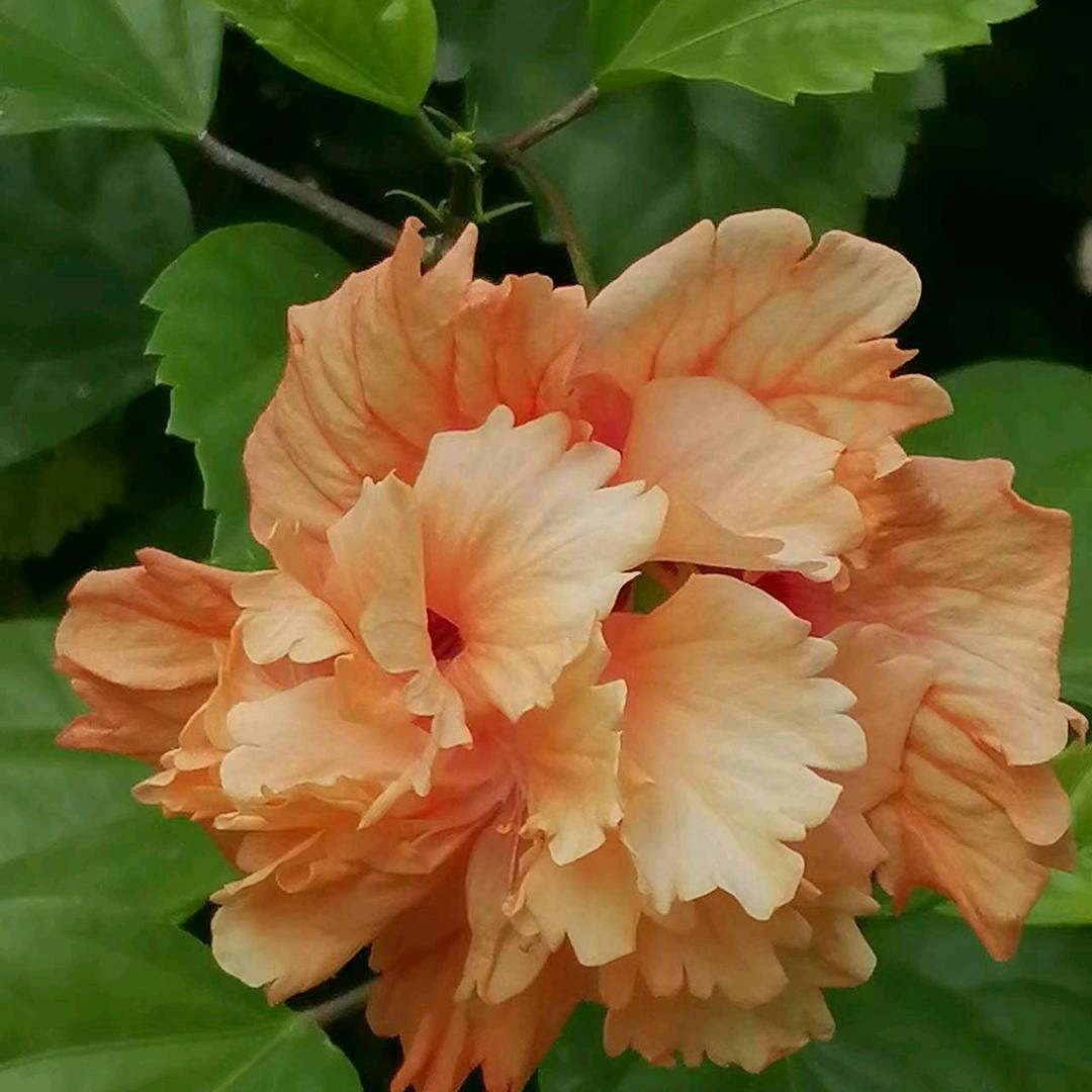 余生过好每一天