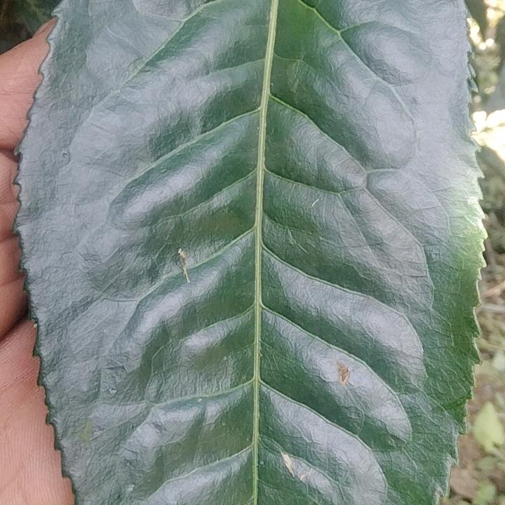 流~弃~的~时~光💘