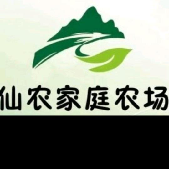 (仙农)杨梅苗