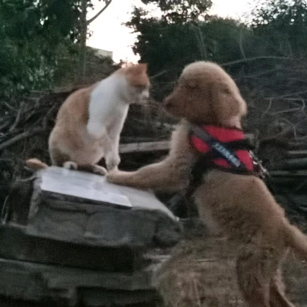 小刘要暴富🌈🌈