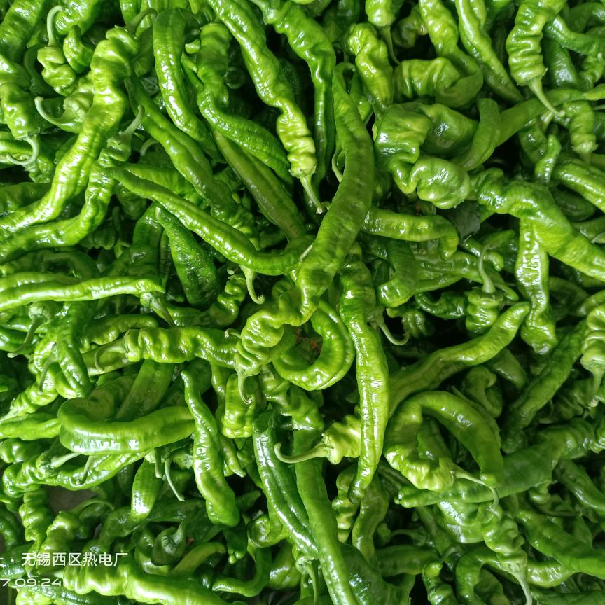 阿超蔬菜