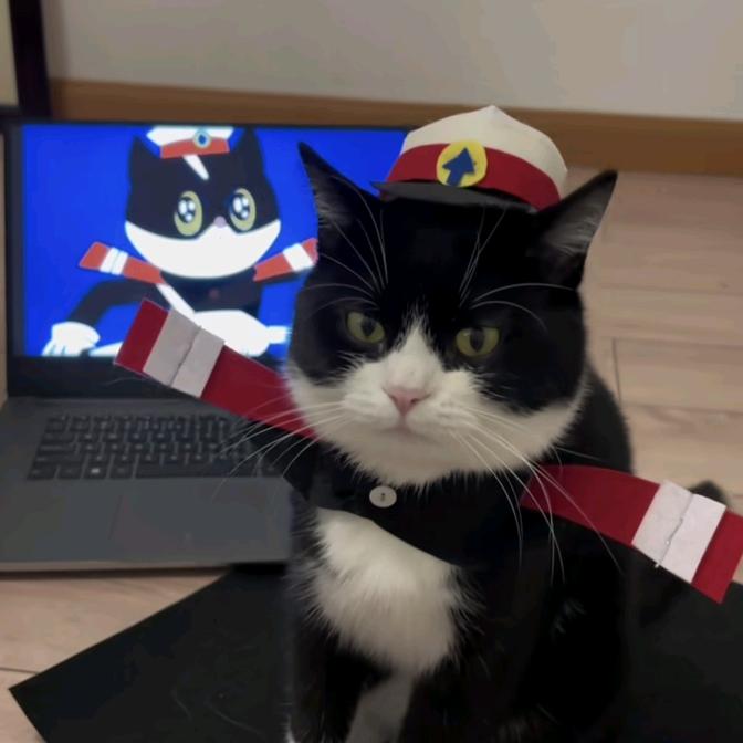 警长不是猫头像