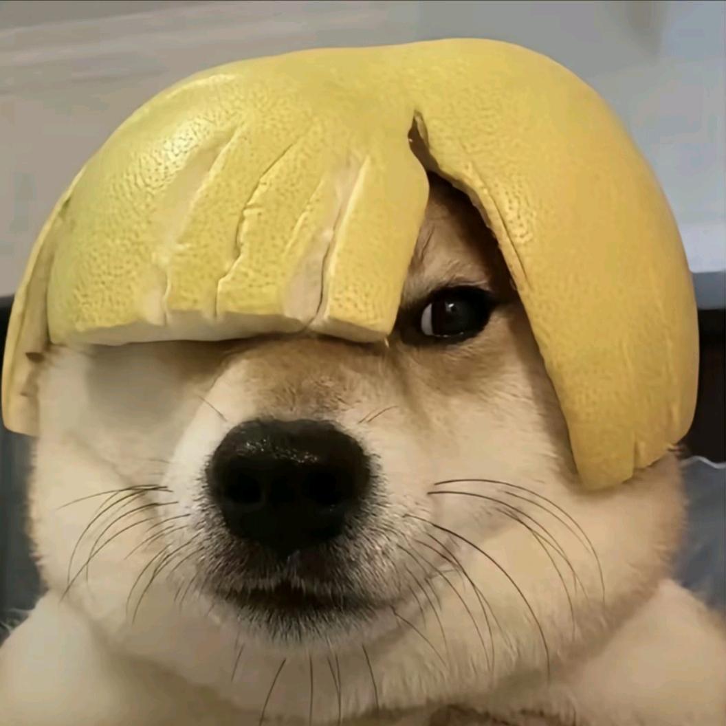蛤蟆大王🐸