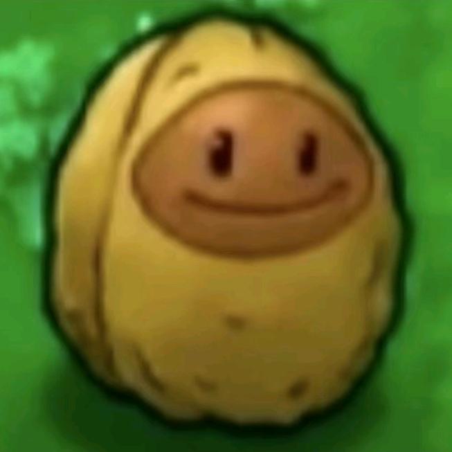 你才是真神