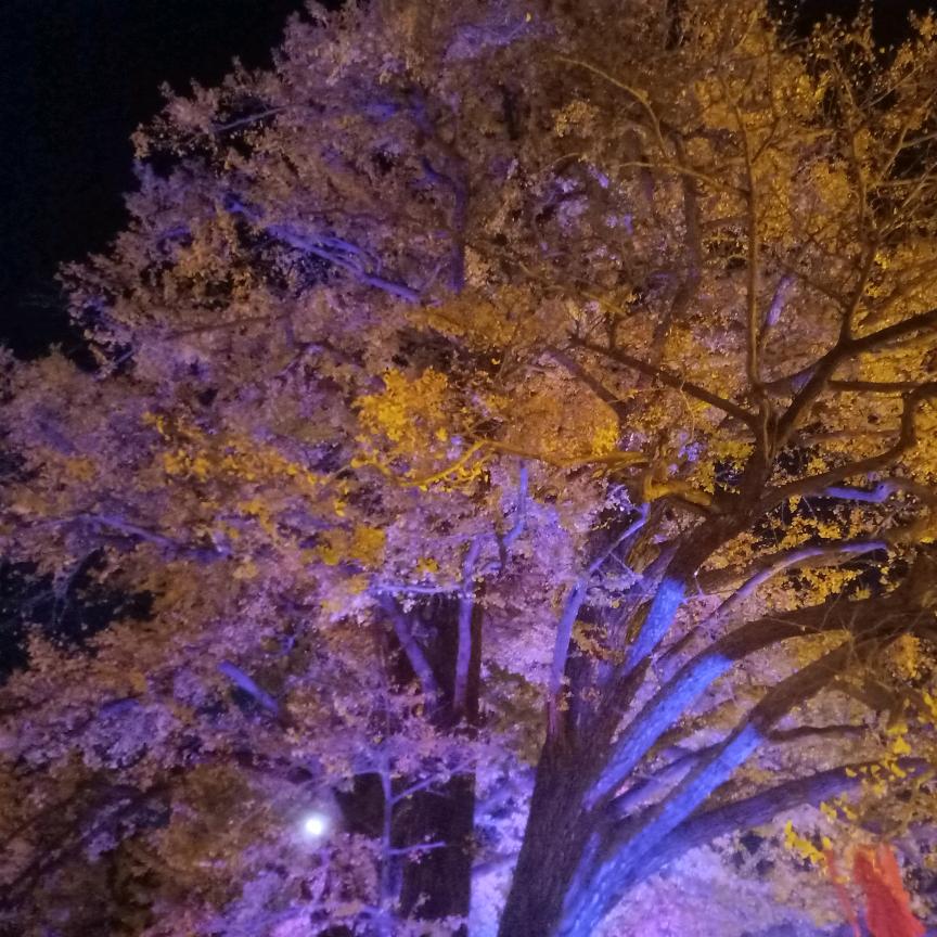 疯狂小嘴哥(要猛)