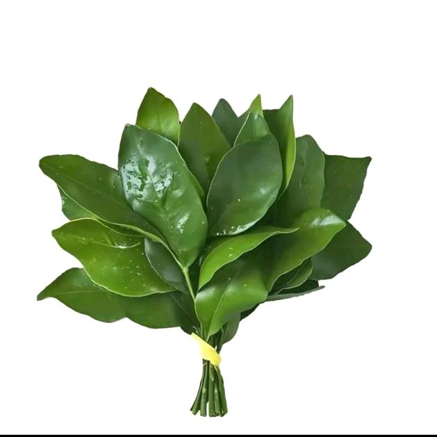许丛