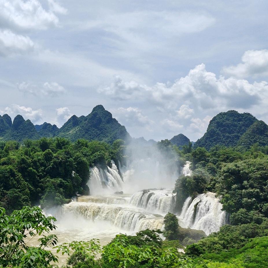 珍珠雨