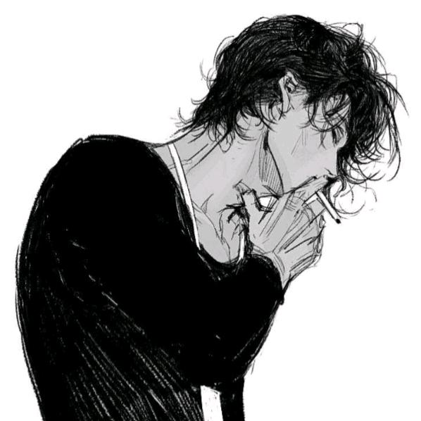 一个看吧台的猫