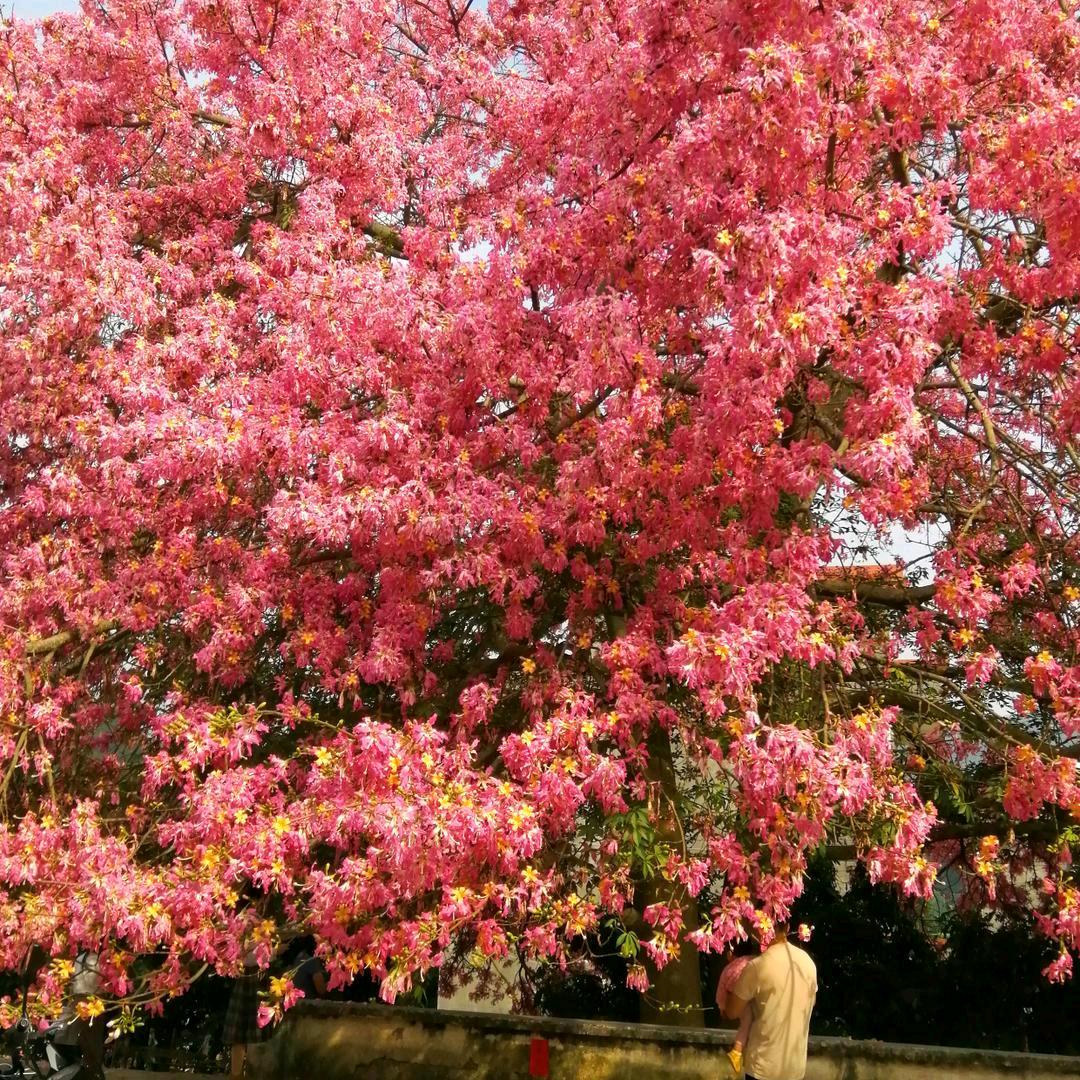 👑海阔天空👑1687