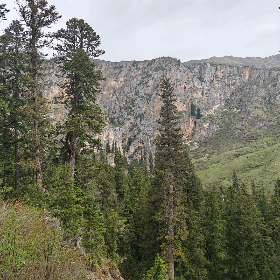 (*^ω^*)风生水起