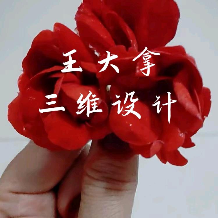 王大拿三维设计