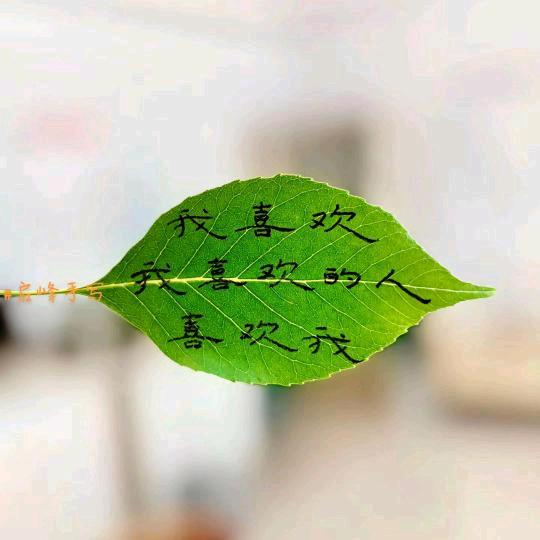 wei