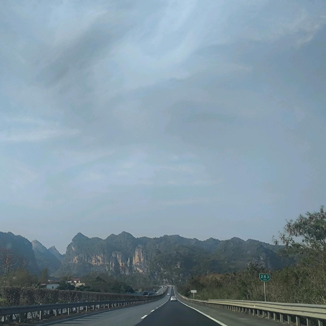 烧鸭饭