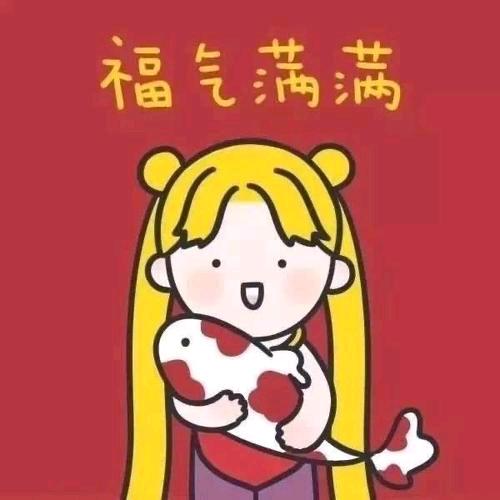 娇而不傲的猫