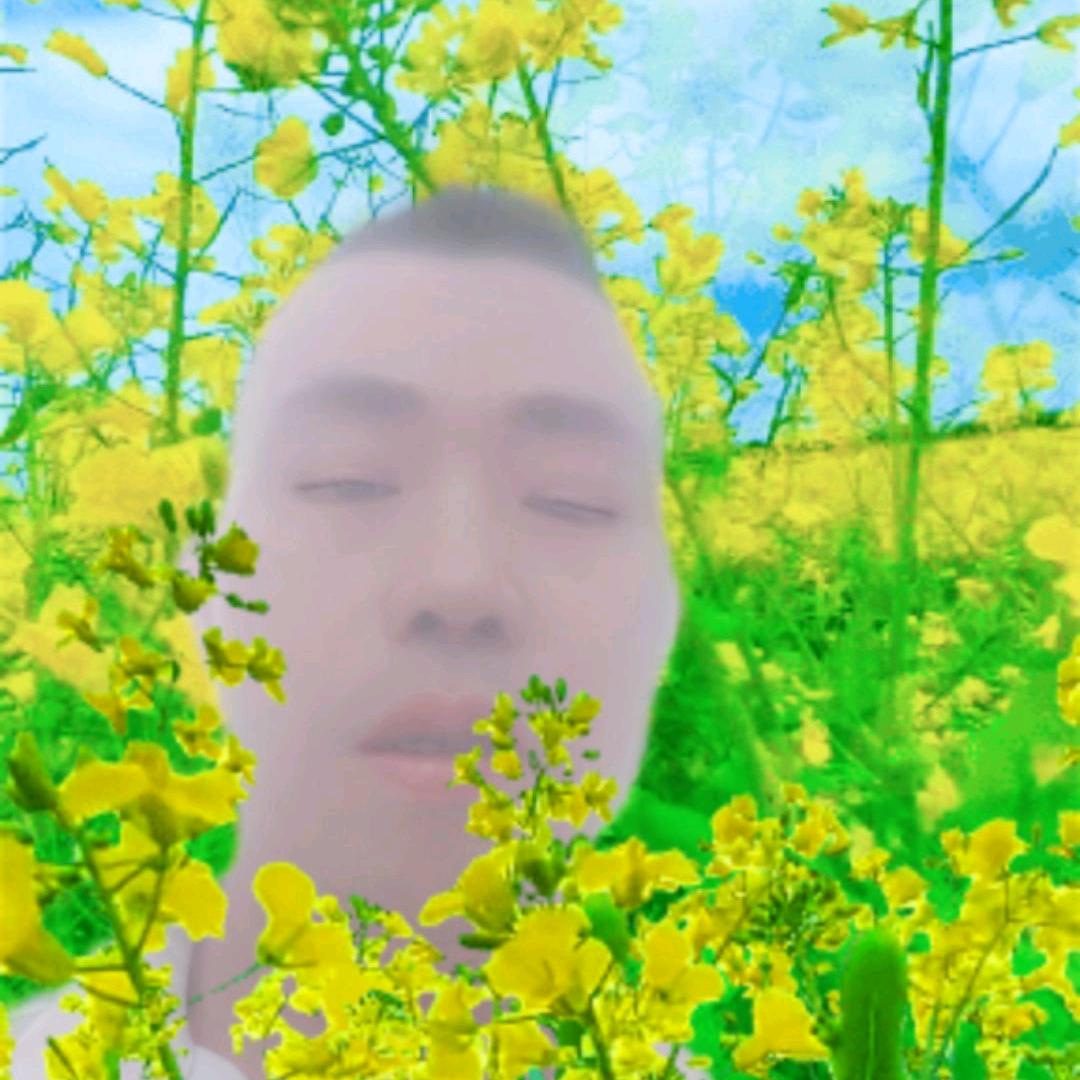 一路风顺