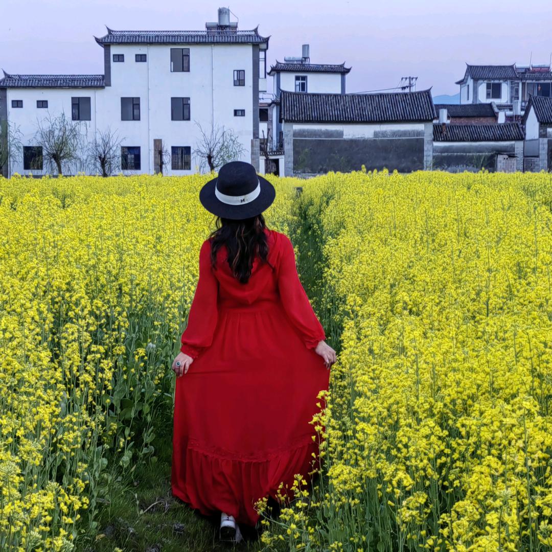 绿芷香蕊