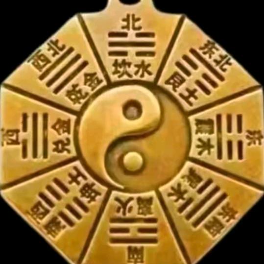 龙哥