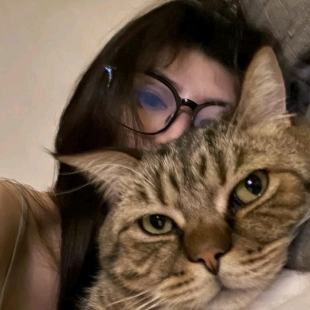 🐱爱吃🐟