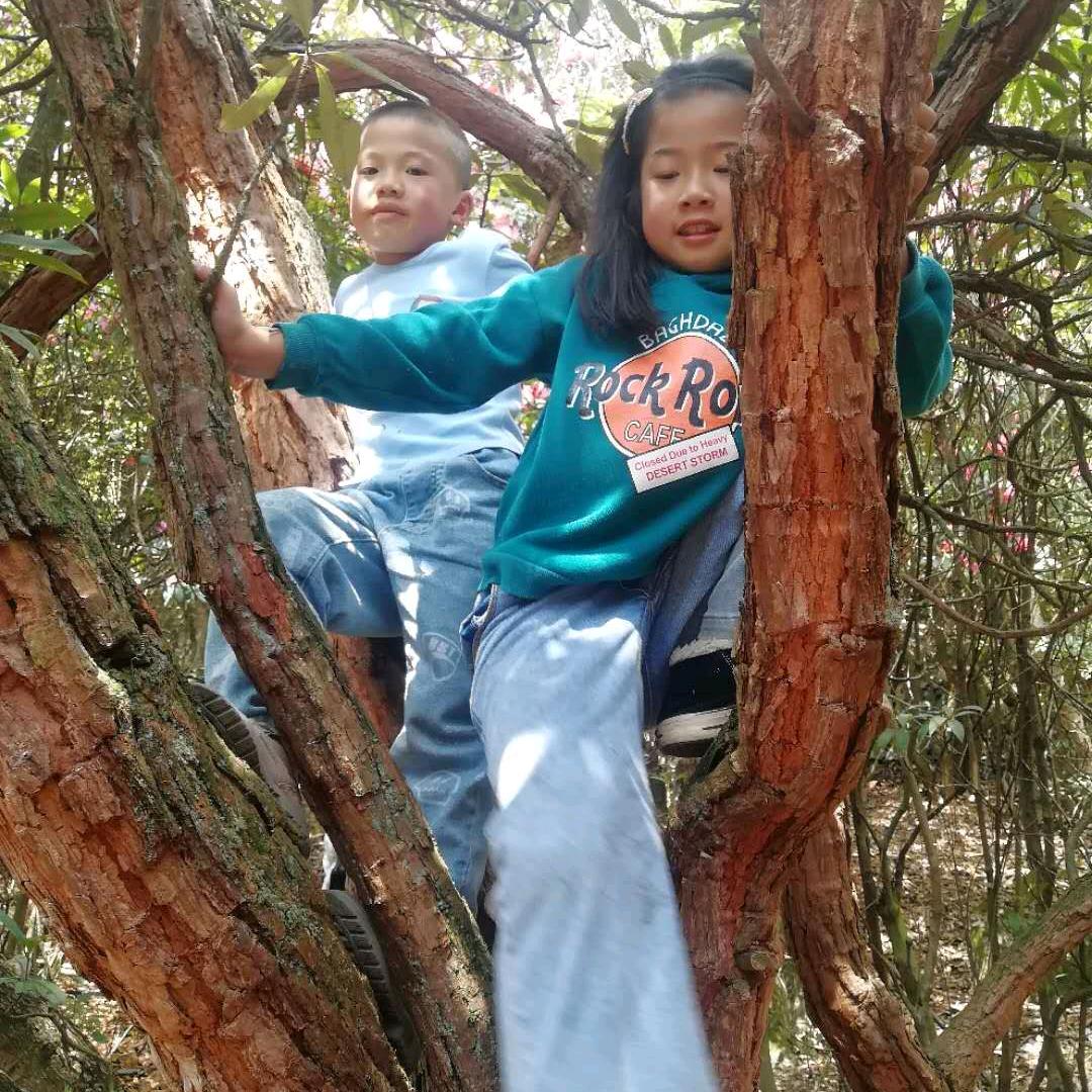 东冬挖掘机打桩机