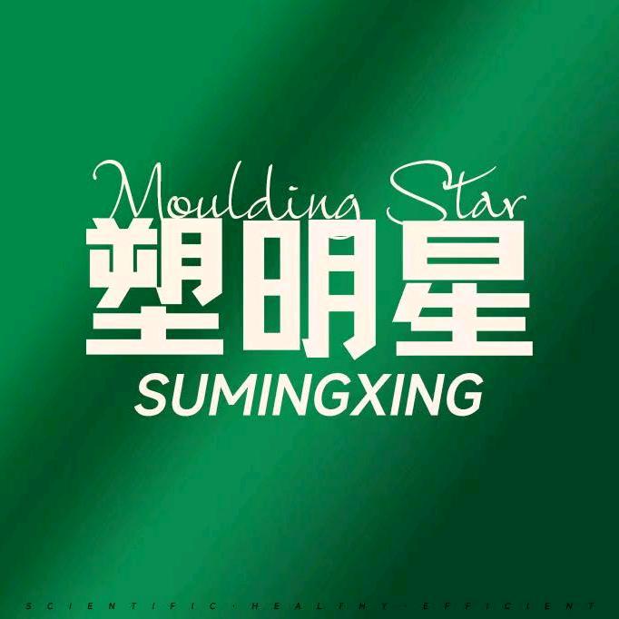 塑明星林梓