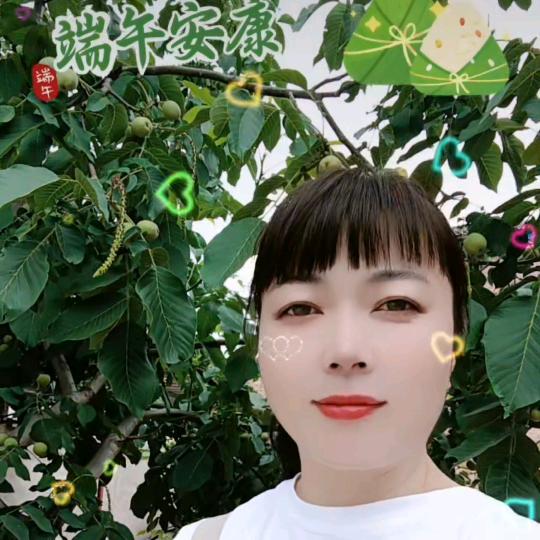 🌷🌹人生如初见🌹🌷