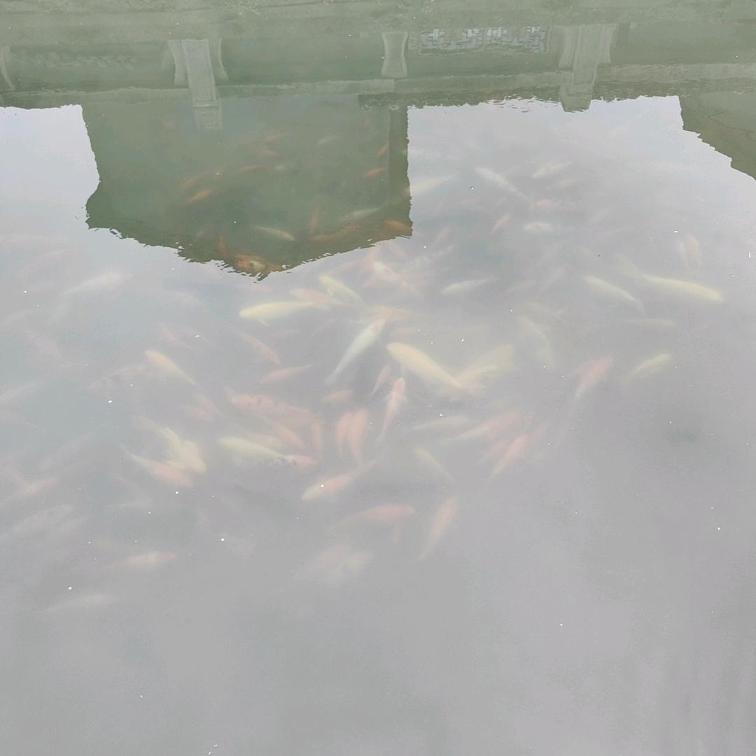 出差出差吃吃吃