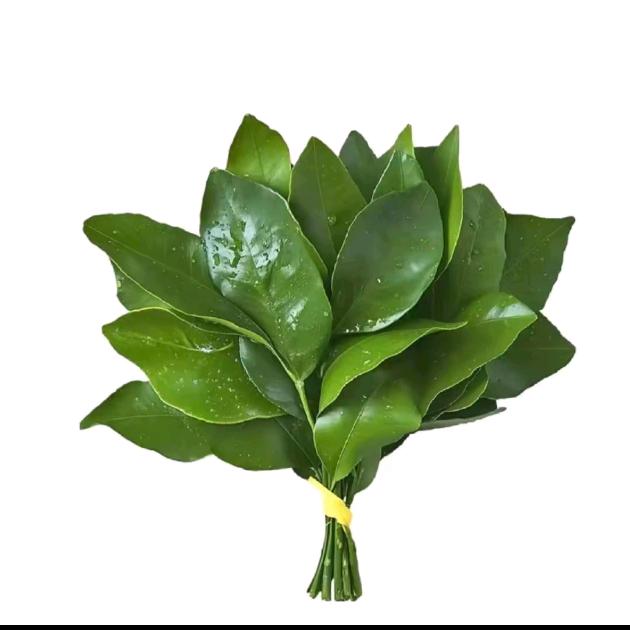 南诏天府优品店