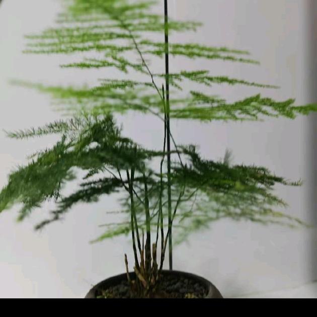59/头像