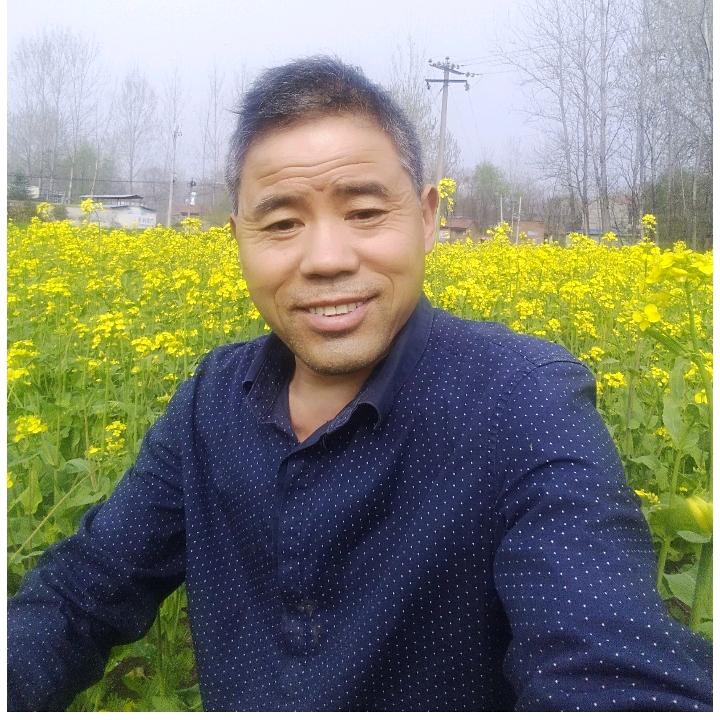 树上飞人