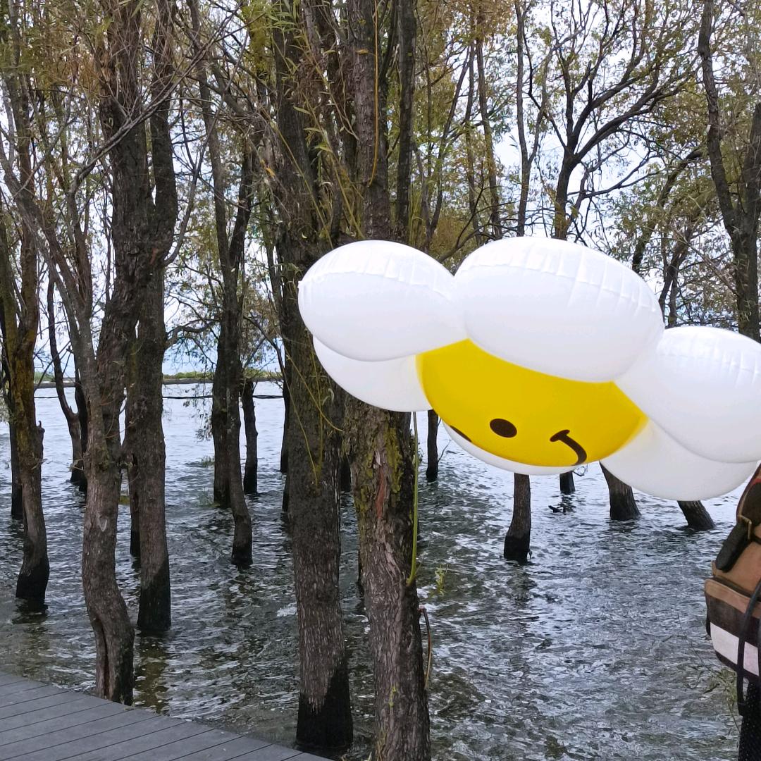 爱吃酱香榴莲的小饼干