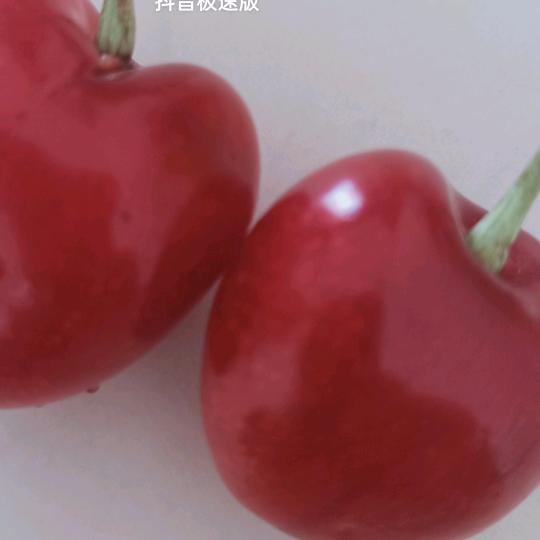 艳儿-yaner❤