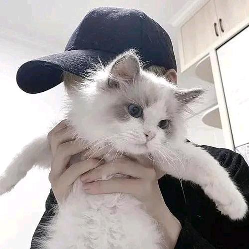 卧推不破100不改名