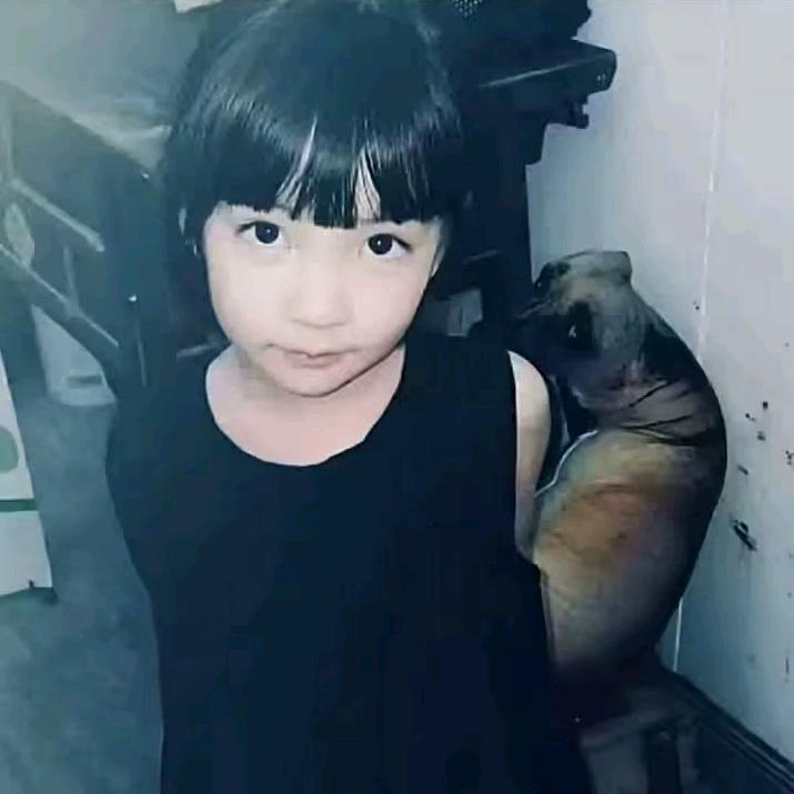 你最近怎么样