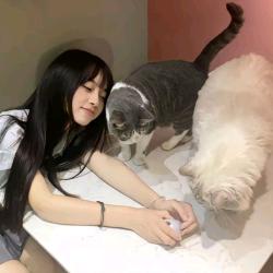碎个好觉^.