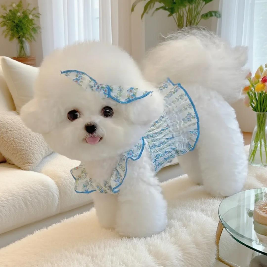 宠物家居