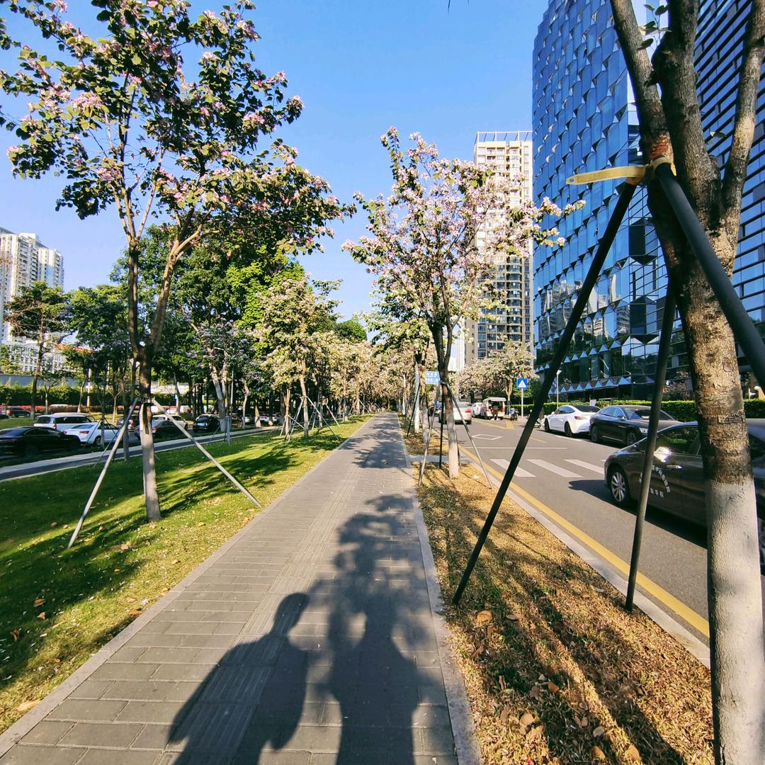 阿百胜才