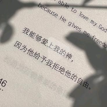 怂怂