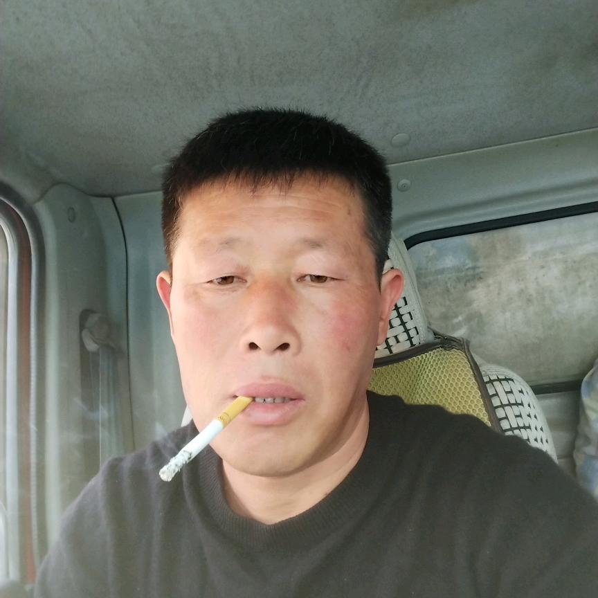 濮阳同力水泥