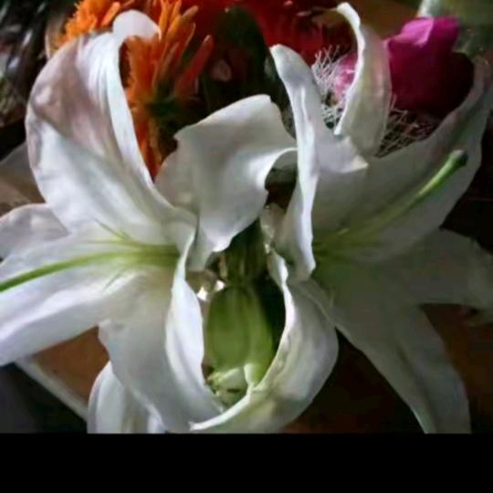 我有一颗受伤的心