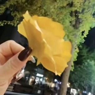 余生ᝰᩚ随心ꦿ໌ᮨ💕