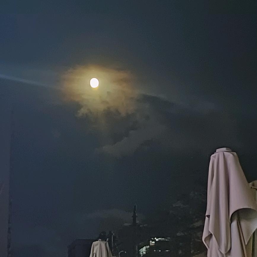 🍀ヾ(✿ﾟ▽ﾟ)ノ丫头