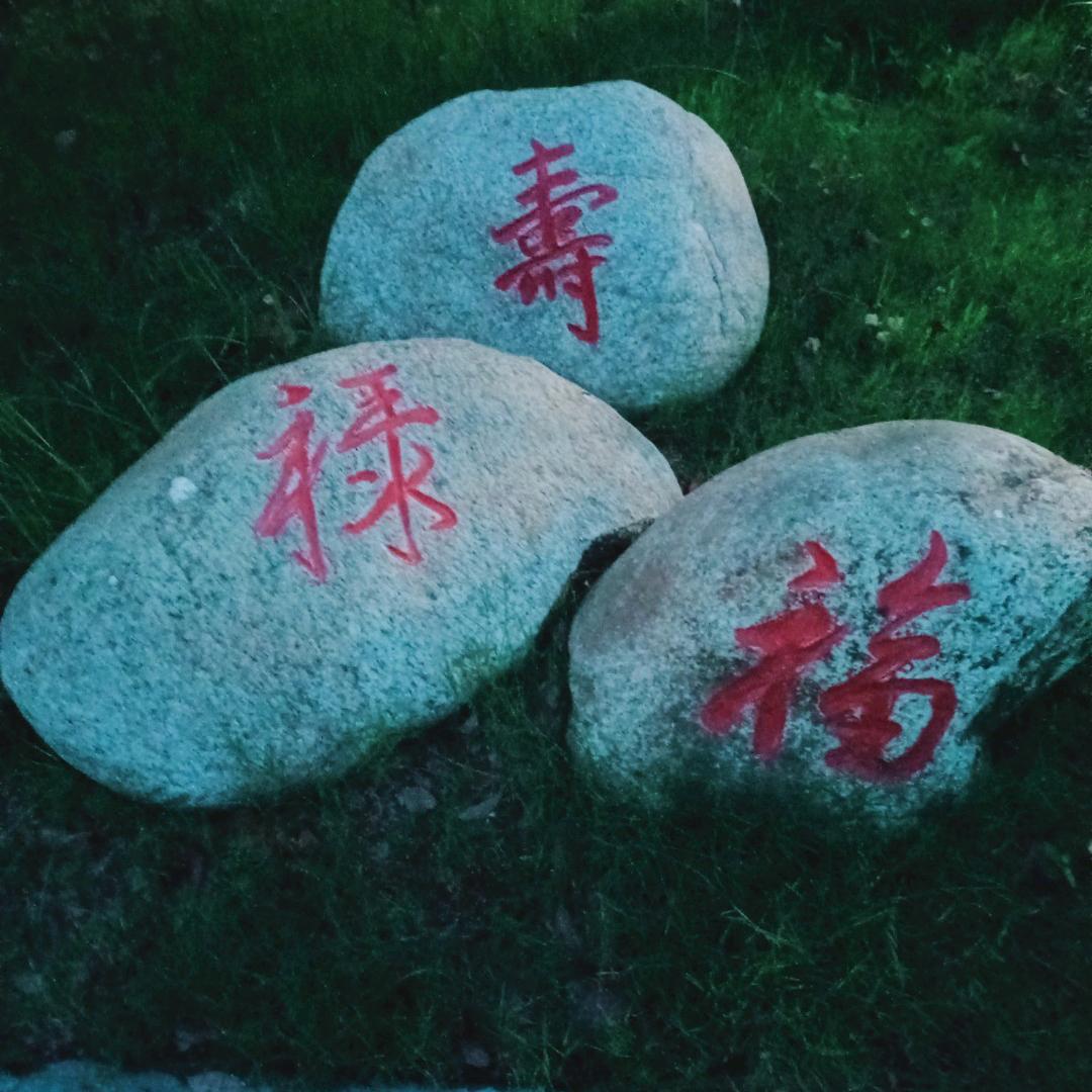 相依为命
