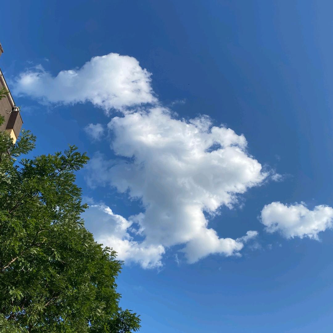 木木的开车日记